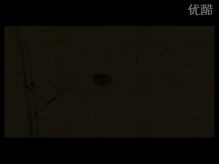 【原版高清】凤凰传奇 - 最炫民族风 MV