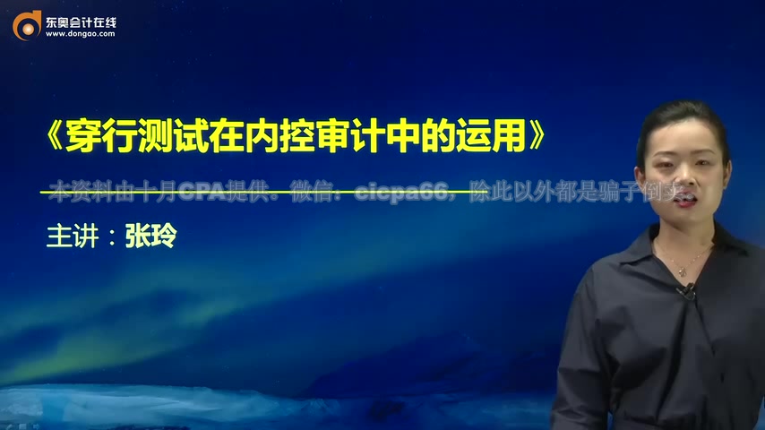 1.第1讲穿行测试在内控审计中的运用（1）